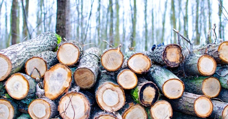 Timber - Brown Chop Logs on Outdoor